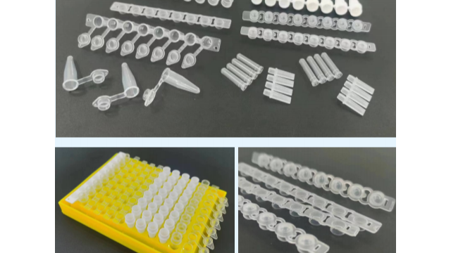 PCR 管：单管、4 排管与 8 排管的特点与应用